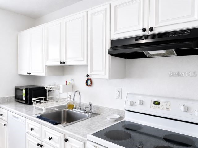 4401 Dylan Loop #164 Land O Lakes FL 34639 TB8505554 image6