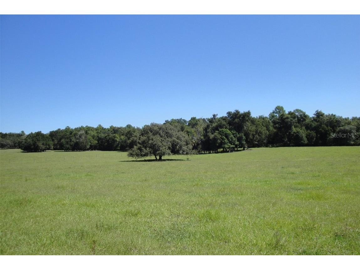 4401 Griffin View Drive Lady Lake FL 32159 OM672448 image1