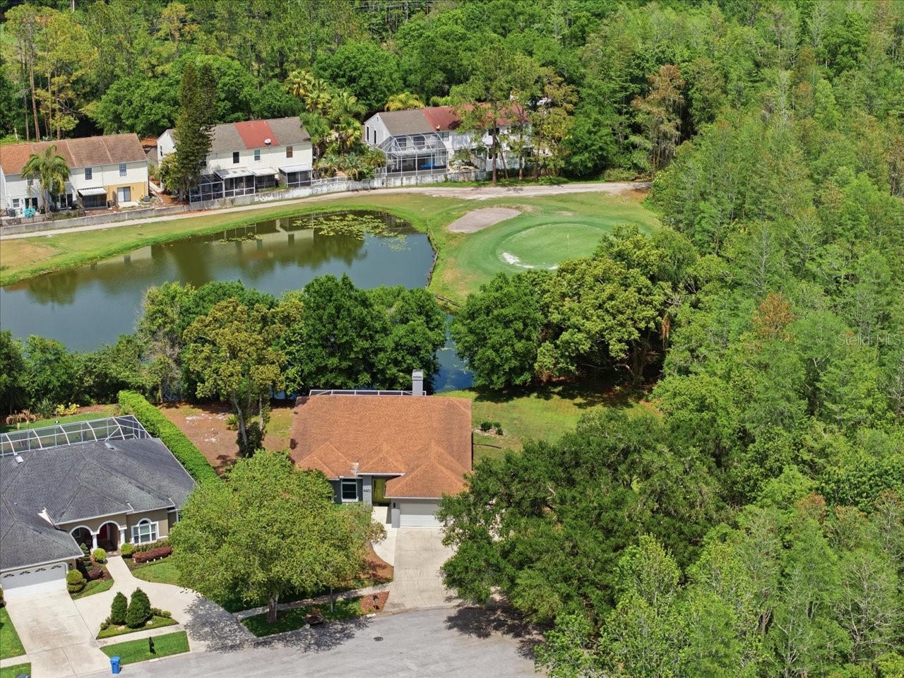 4401 Kettle Creek Court Tampa FL 33624 - POND TB8495322 image2