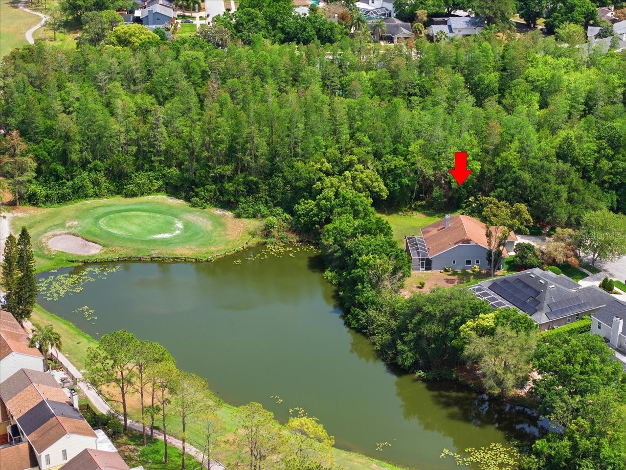 4401 Kettle Creek Court Tampa FL 33624 - POND TB8495322 image3