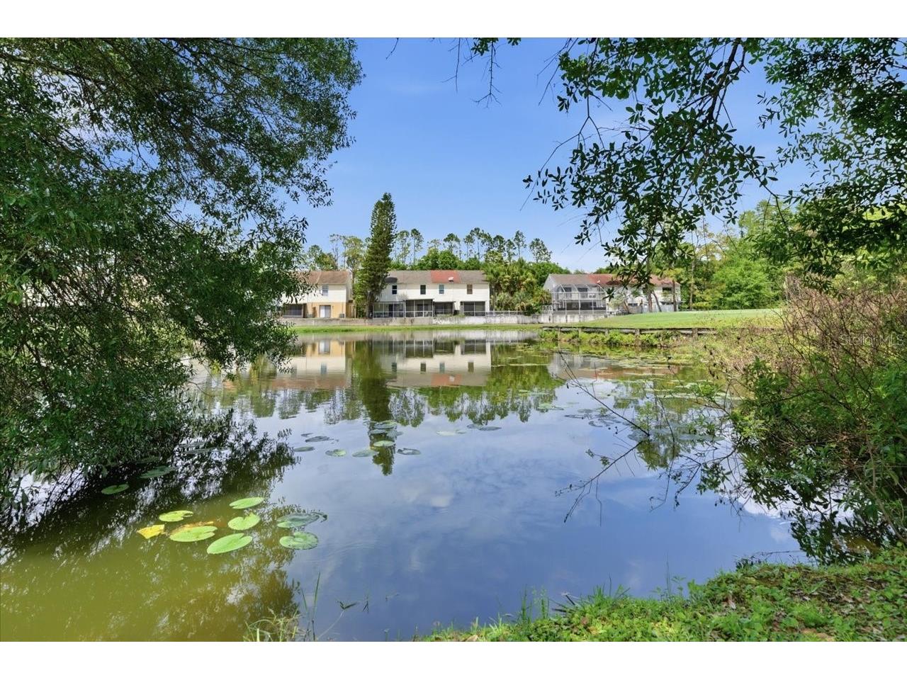 4401 Kettle Creek Court Tampa FL 33624 - POND TB8495322 image32