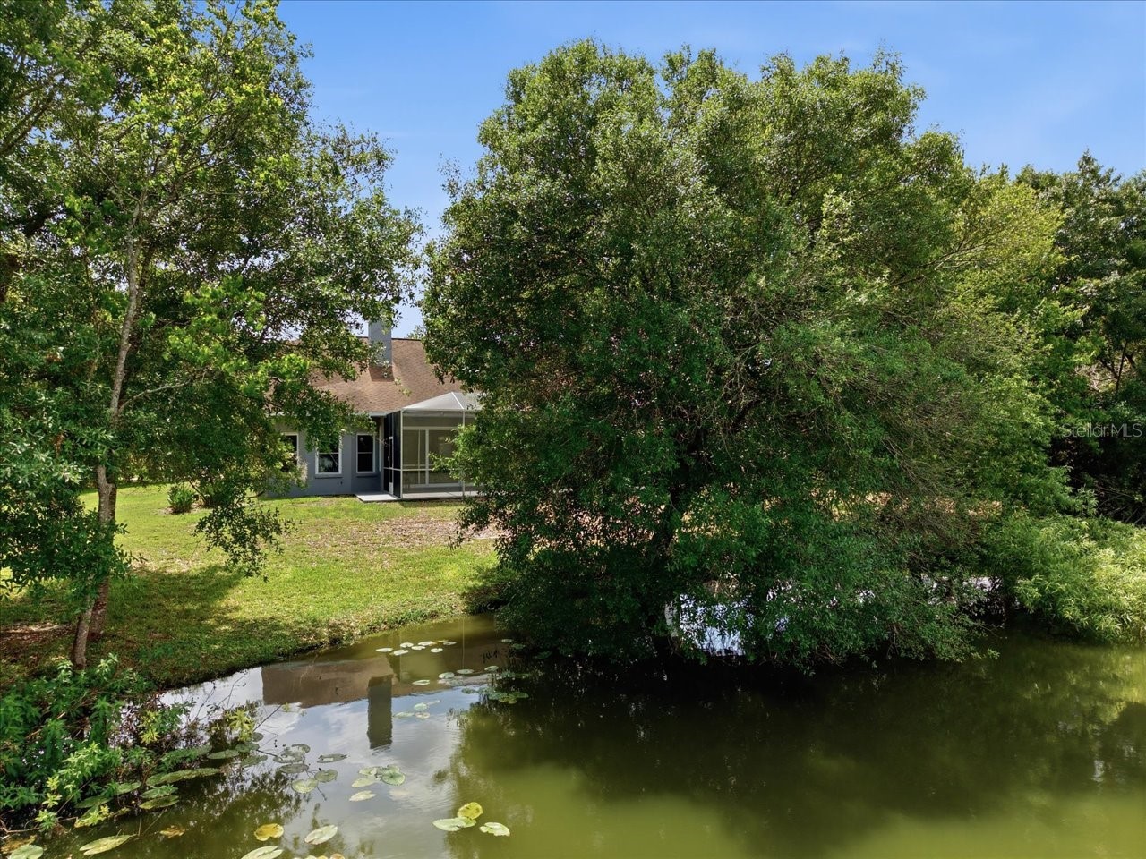 4401 Kettle Creek Court Tampa FL 33624 - POND TB8495322 image33