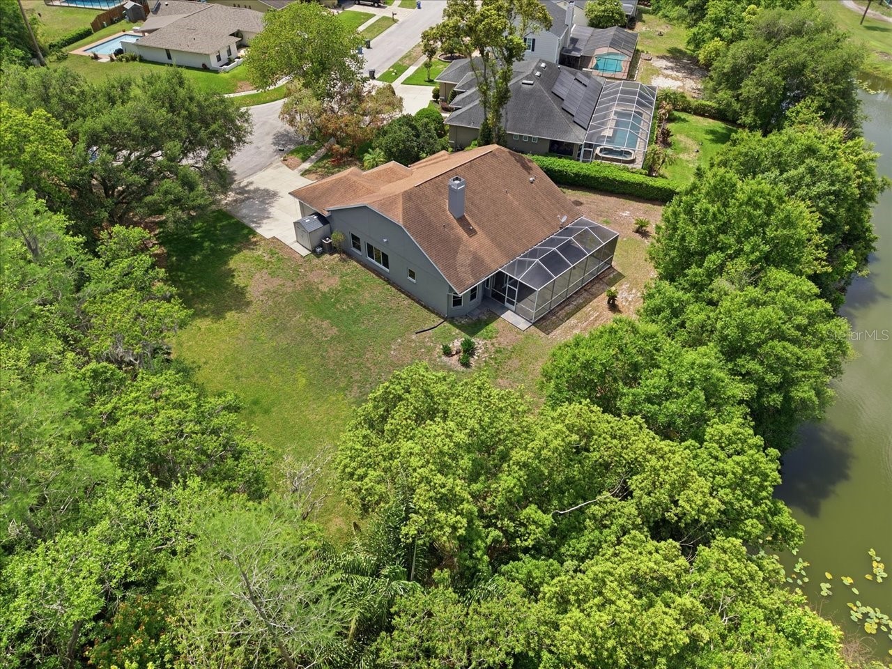 4401 Kettle Creek Court Tampa FL 33624 - POND TB8495322 image35
