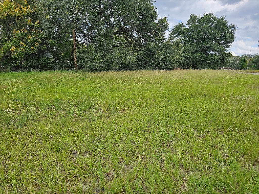 4401 N 42nd Street Tampa FL 33610 T3479001 image1