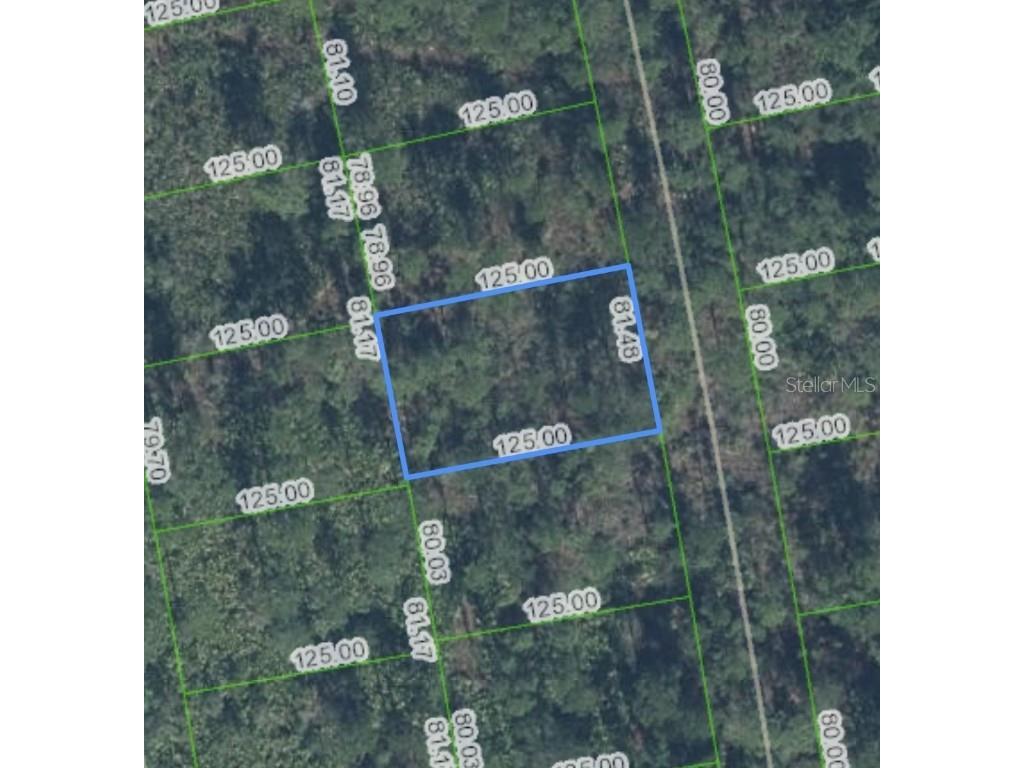 4401 Obispo Avenue Sebring FL 33872 OM693834 image1