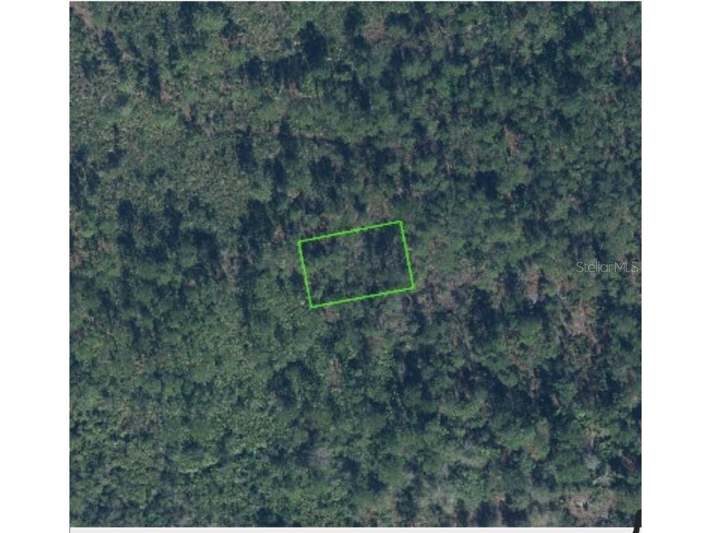 4401 Obispo Avenue Sebring FL 33872 OM693834 image2