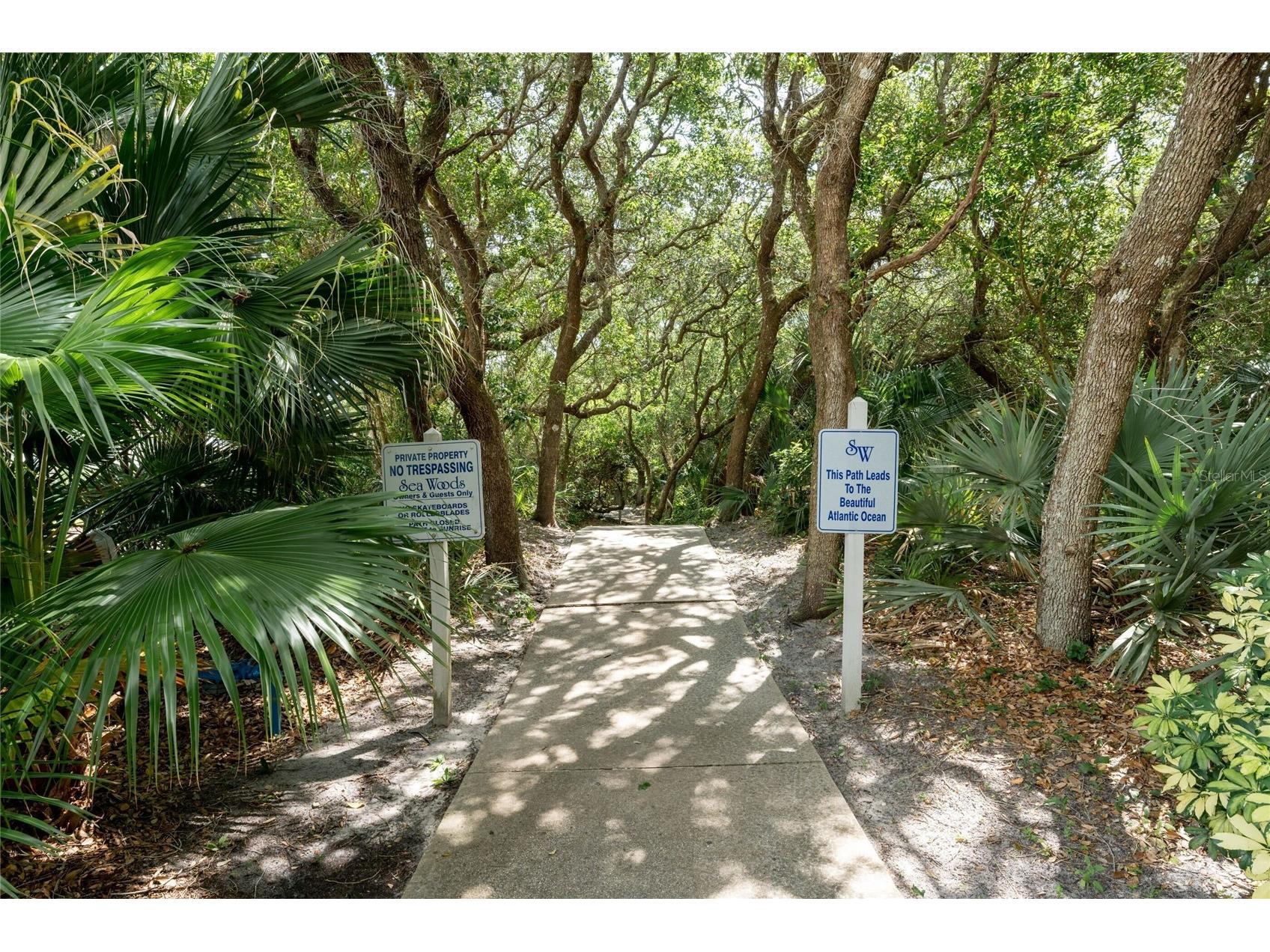 4401 Sea Mist Drive #202 New Smyrna Beach FL 32169 NS1087169 image37