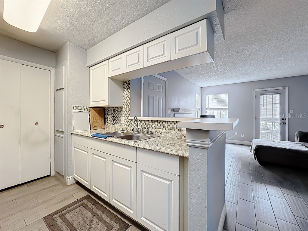 4401 Thornbriar Lane #105 Orlando FL 32822 S5137676 image11