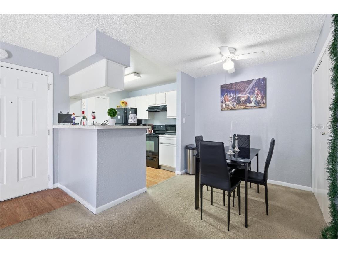 4401 Thornbriar Lane #106 Orlando FL 32822 O6362454 image19