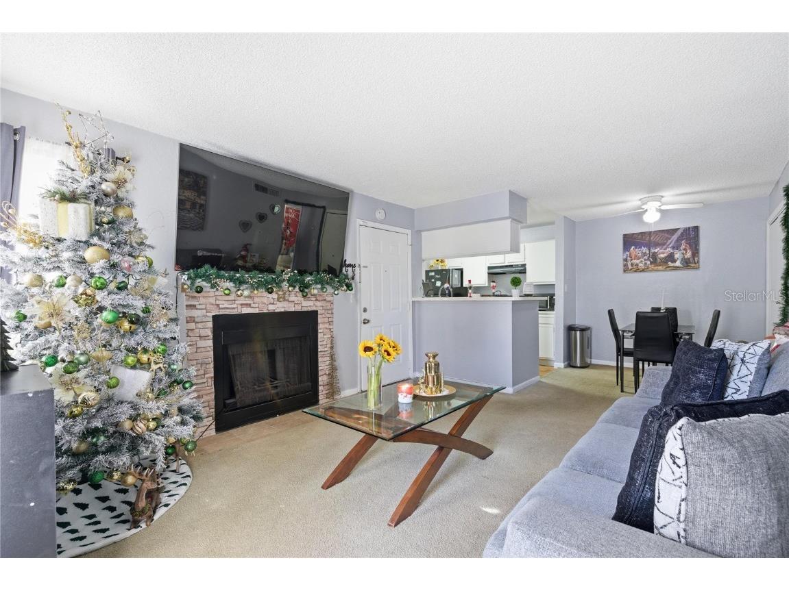 4401 Thornbriar Lane #106 Orlando FL 32822 O6362454 image23