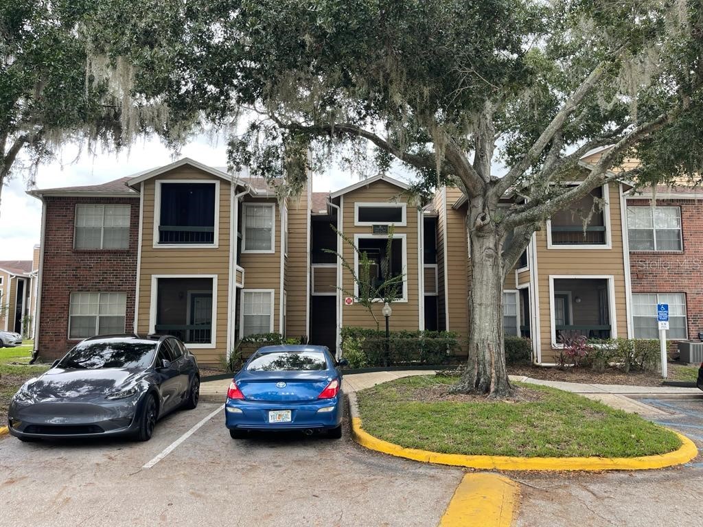 4401 Thornbriar Lane #204 Orlando FL 32822 O6149281 image1