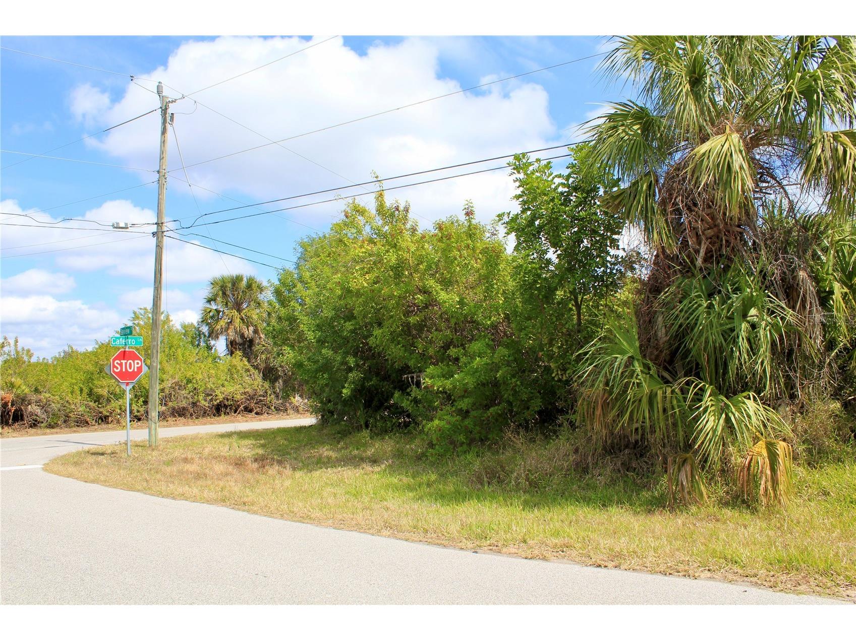 44024410 Bayview Street Port Charlotte FL 33948 D6146381 image10
