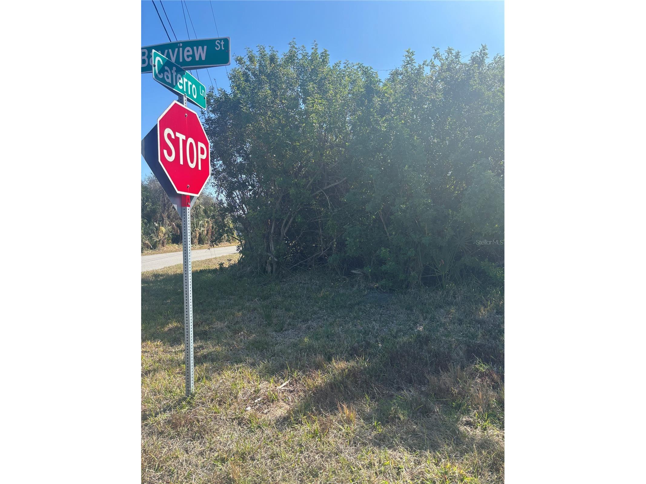 44024410 Bayview Street Port Charlotte FL 33948 D6146381 image17