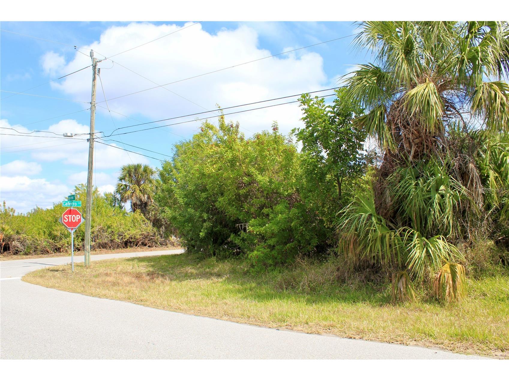44024410 Bayview Street Port Charlotte FL 33948 D6146381 image2