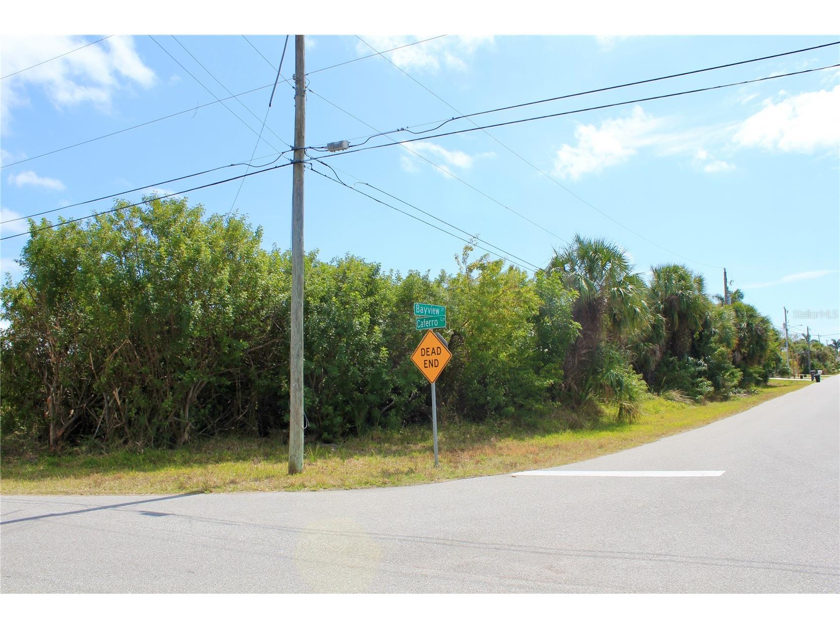 44024410 Bayview Street Port Charlotte FL 33948 D6146381 image25