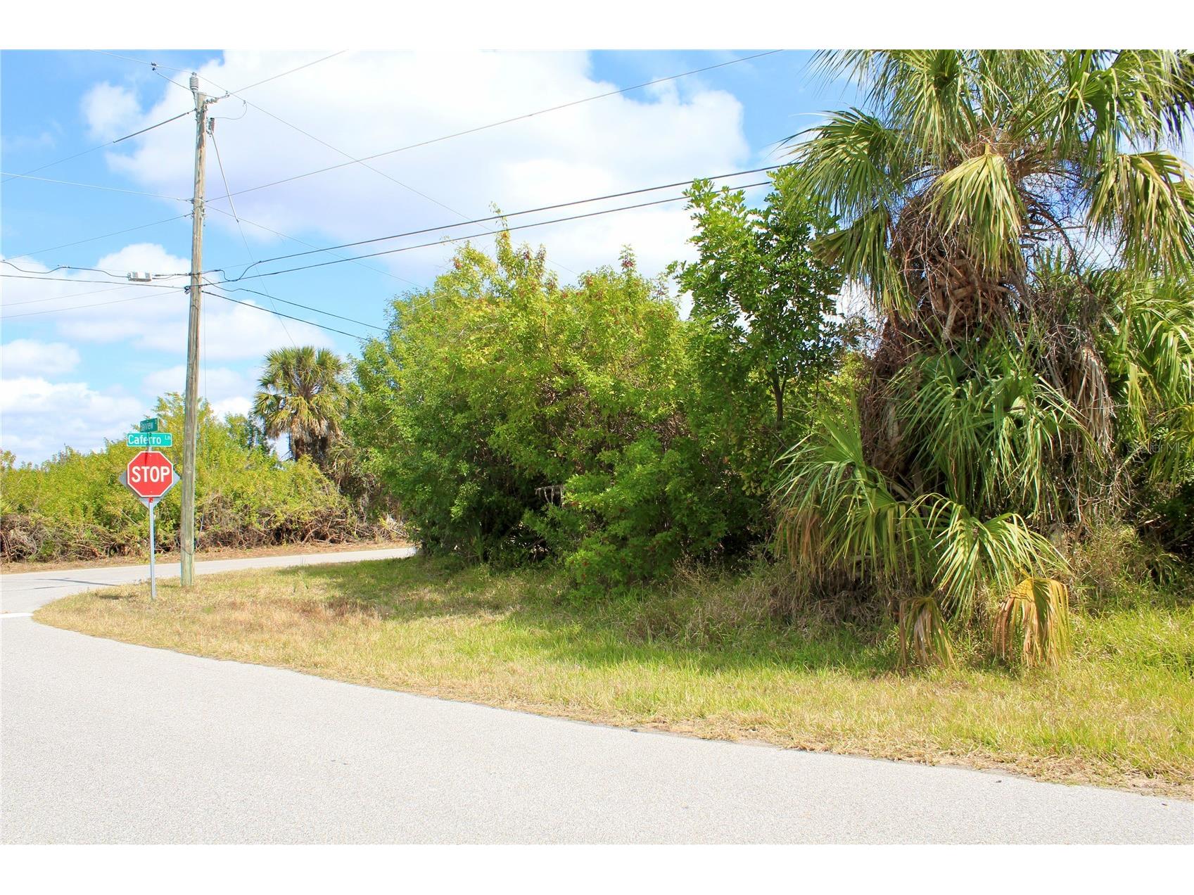 44024410 Bayview Street Port Charlotte FL 33948 D6146381 image6