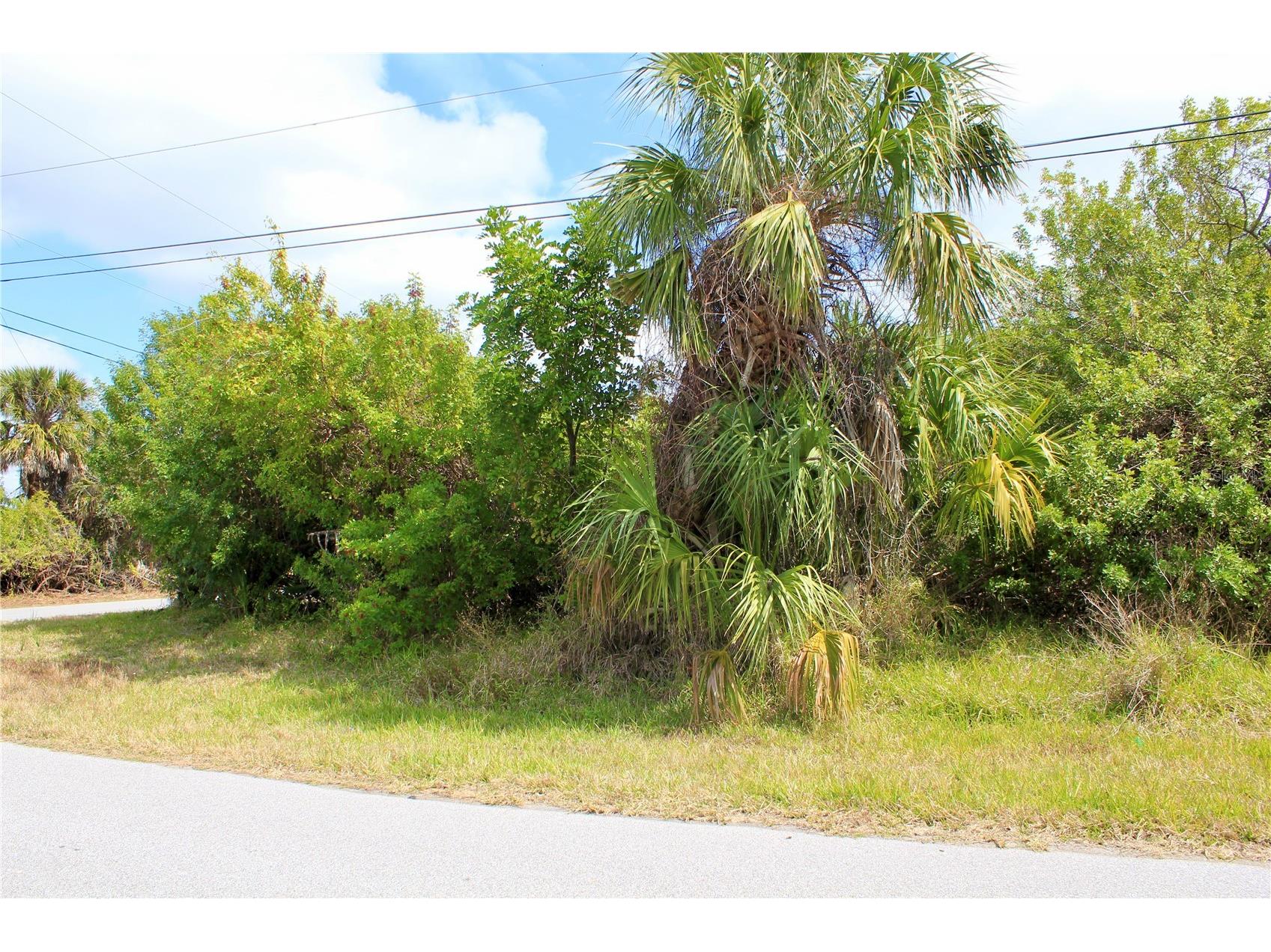 44024410 Bayview Street Port Charlotte FL 33948 D6146381 image7