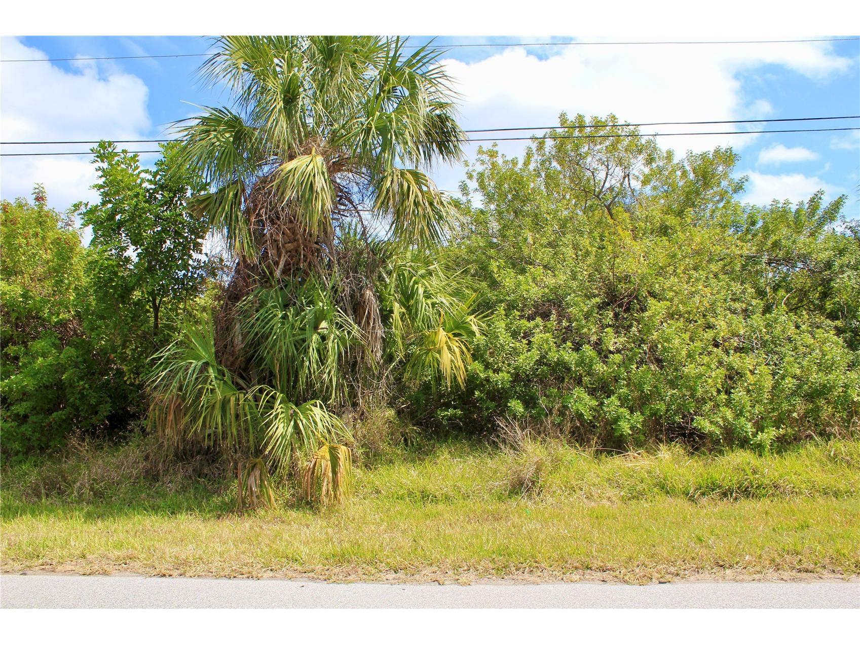 44024410 Bayview Street Port Charlotte FL 33948 D6146381 image8