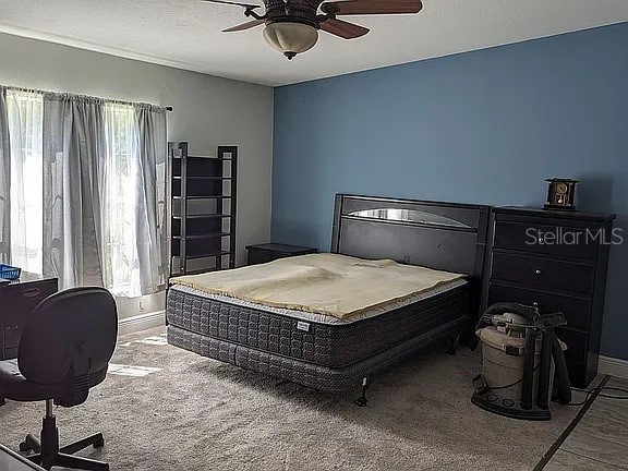 4402 Gallagher Road Plant City FL 33565 O6363603 image14