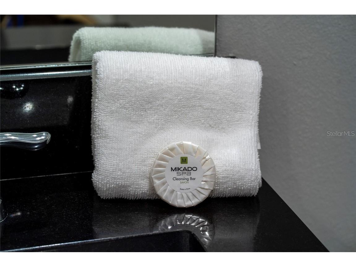 4402 Le Reve Court Kissimmee FL 34746 O6366499 image28