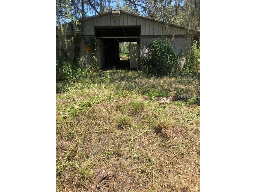 4402 Trailview Place Plant City FL 33567 T3477167 image1