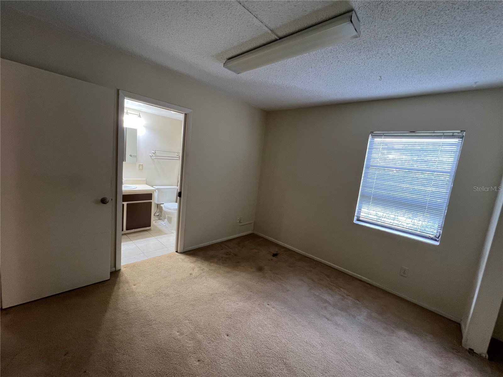 4403 7th Street E #7 Ellenton FL 34222 TB8525080 image18