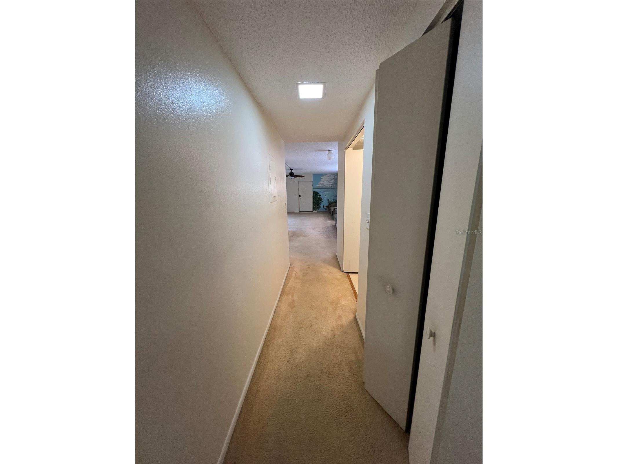 4403 7th Street E #7 Ellenton FL 34222 TB8525080 image24