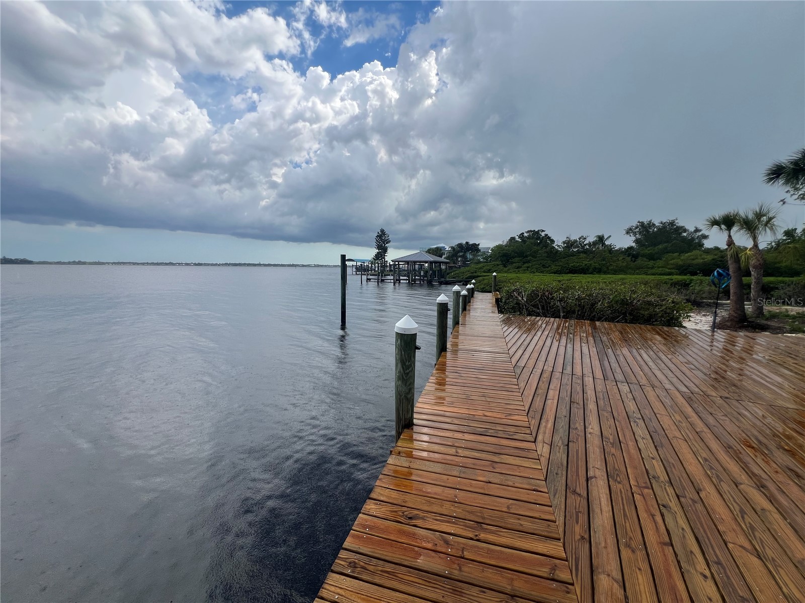 4403 7th Street E #7 Ellenton FL 34222 TB8525080 image45