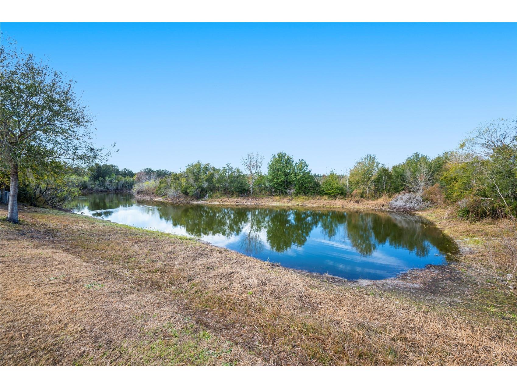 4403 Avondale Groves Street Plant City FL 33567 L4958876 image48