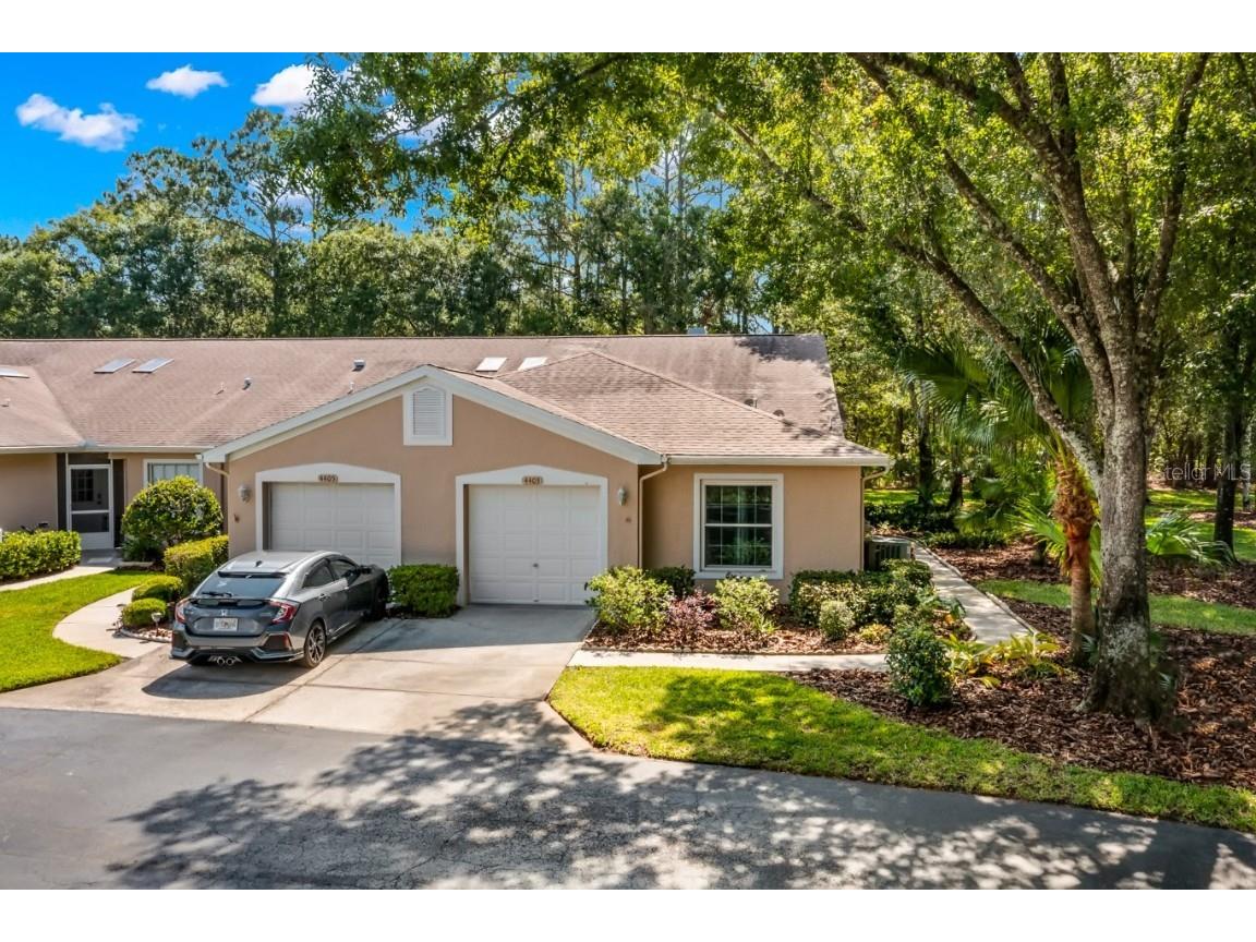 4403 Connery Court Palm Harbor FL 34685 U8200424 image1