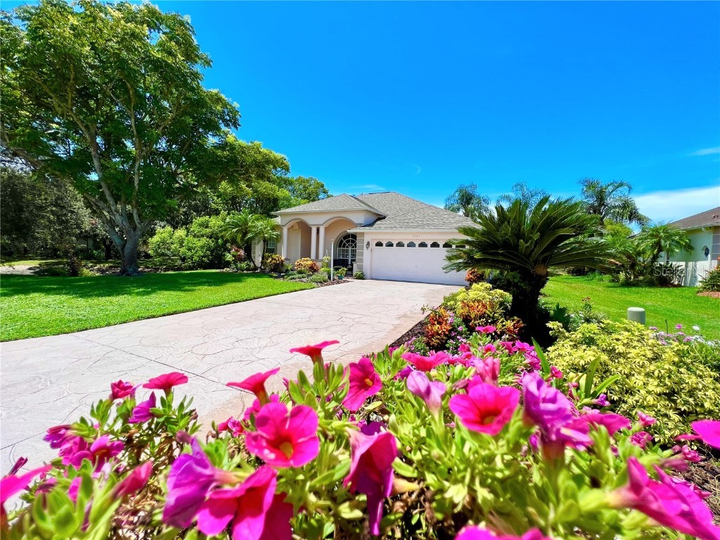 4403 Oklawaha Lane New Port Richey FL 34655 T3465697 image1