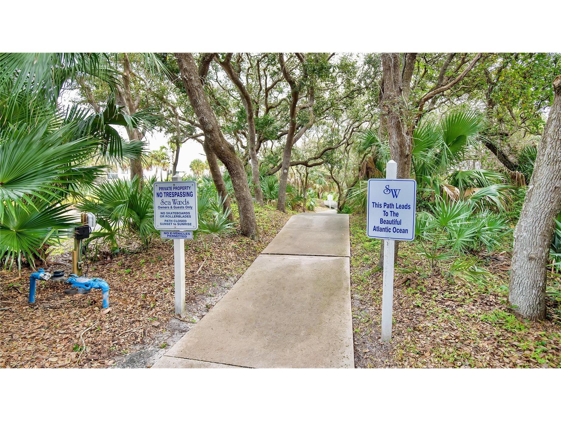 4403 Sea Mist Drive #110 New Smyrna Beach FL 32169 NS1087118 image34