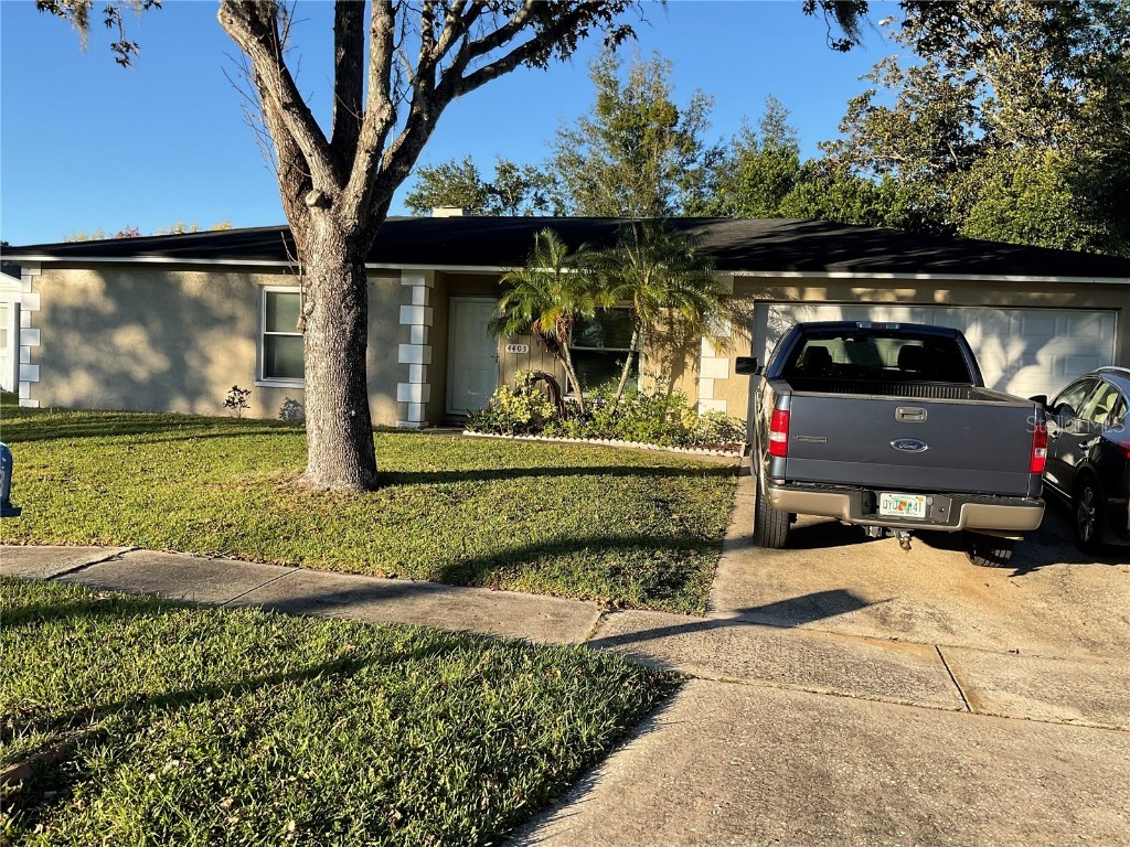 4403 Willowrun Lane Tampa FL 33624 T3481668 image1