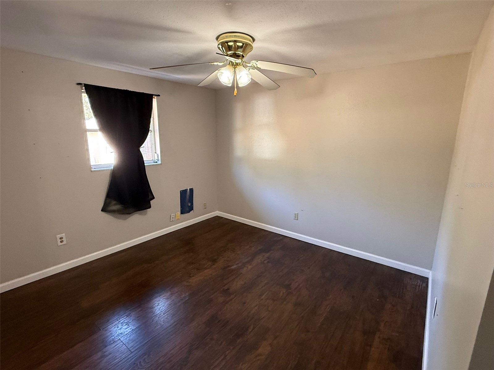 4404 Areca Palm Drive Zephyrhills FL 33541 TB8472289 image11