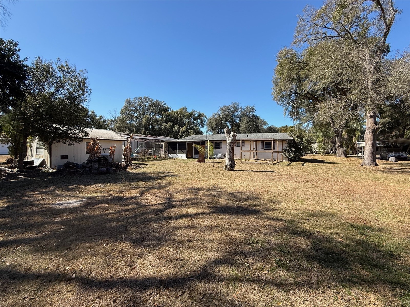 4404 Areca Palm Drive Zephyrhills FL 33541 TB8472289 image4
