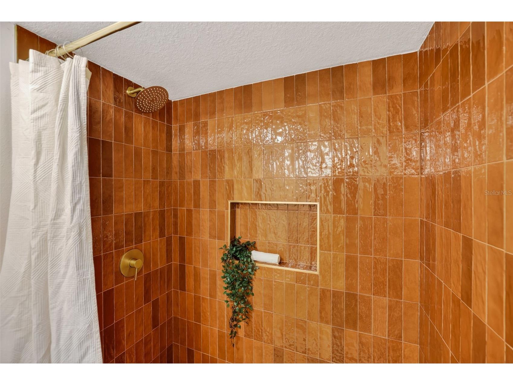 4404 Carrollwood Village Drive Tampa FL 33618 TB8506029 image24