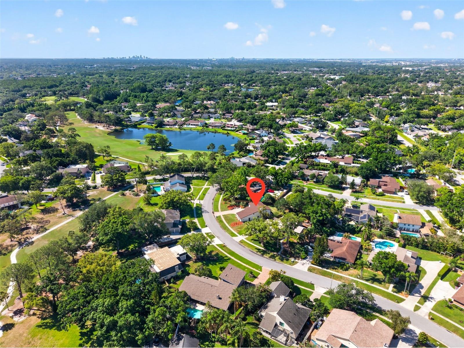 4404 Carrollwood Village Drive Tampa FL 33618 TB8506029 image43