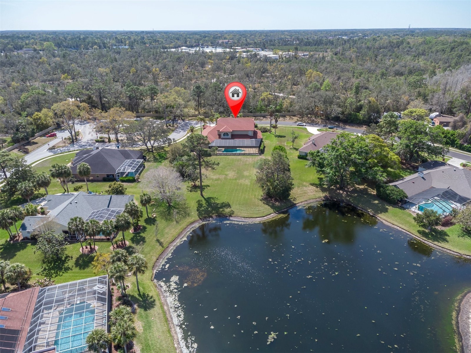 4404 Lake In The Woods Drive Spring Hill FL 34607 TB8504398 image43