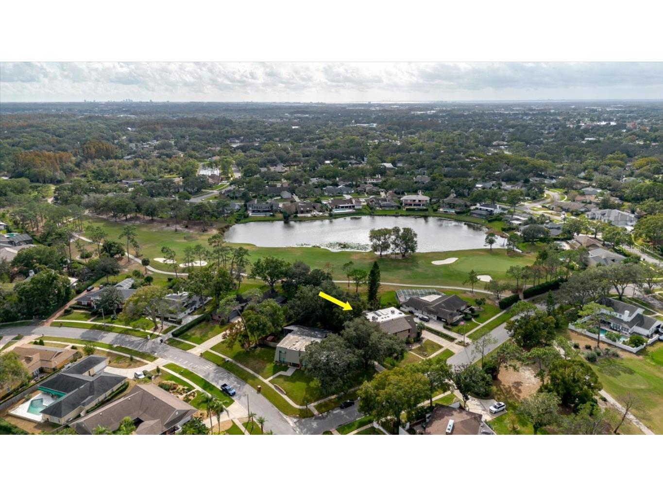 4404 Old Orchard Drive Tampa FL 33618 TB8453380 image3