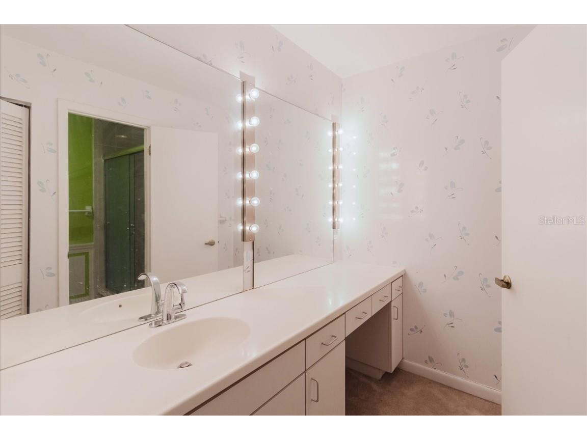 4404 Old Orchard Drive Tampa FL 33618 TB8453380 image73