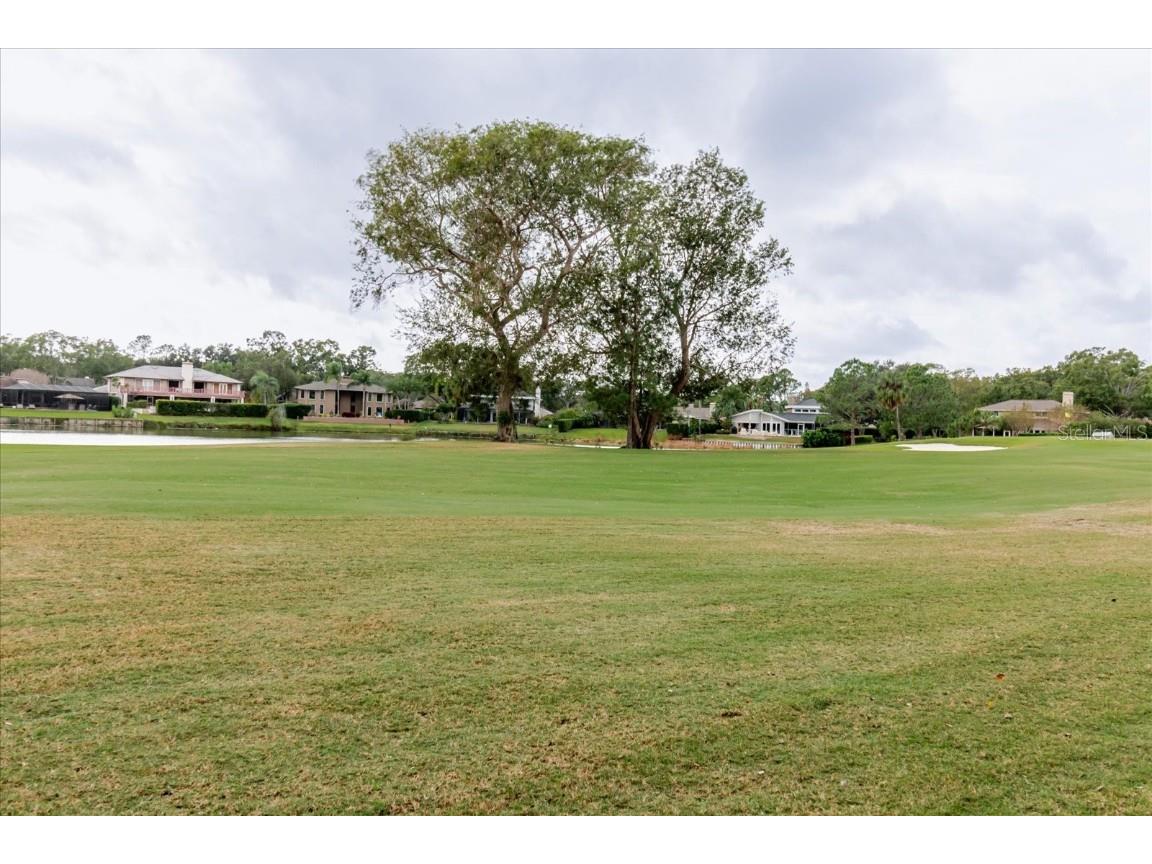 4404 Old Orchard Drive Tampa FL 33618 TB8453380 image90