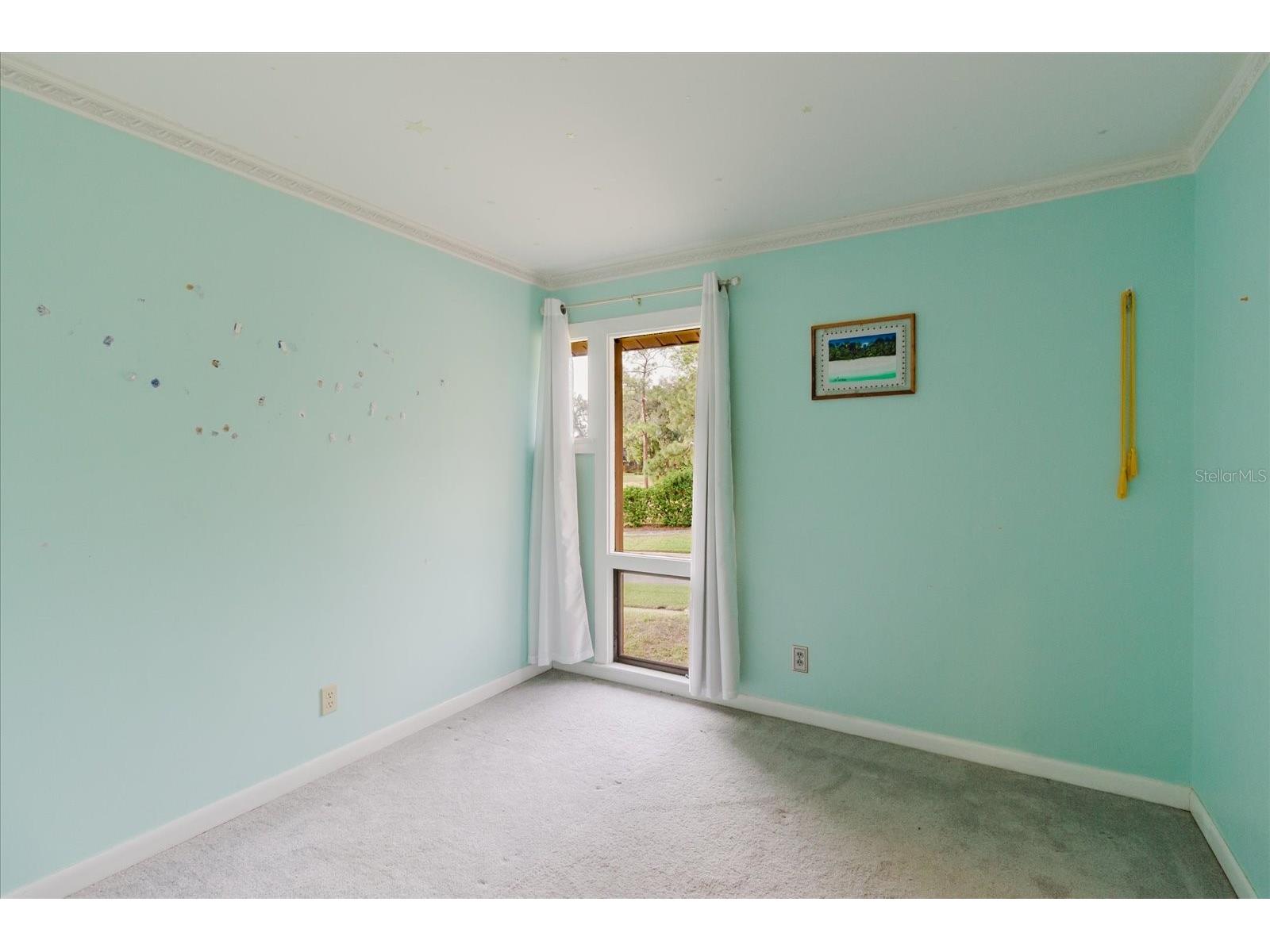 4404 Old Orchard Drive Tampa FL 33618 TB8524463 image56