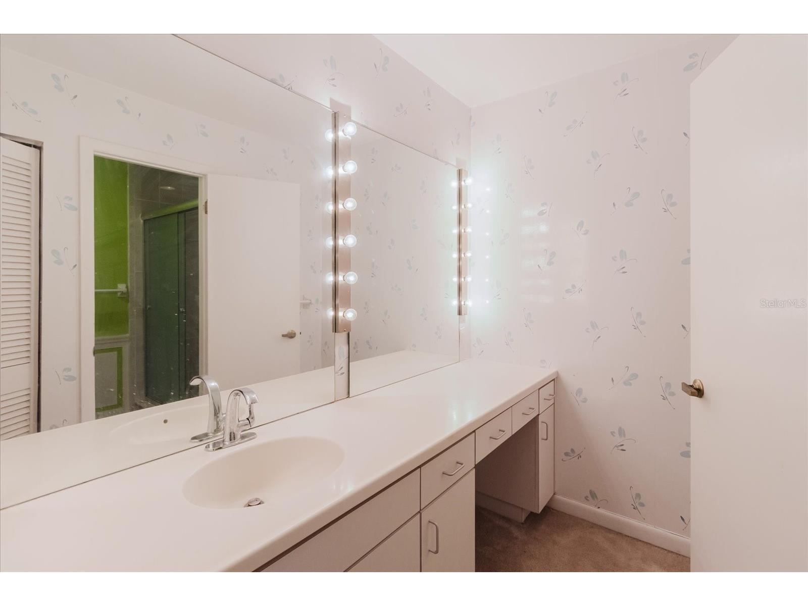 4404 Old Orchard Drive Tampa FL 33618 TB8524463 image67