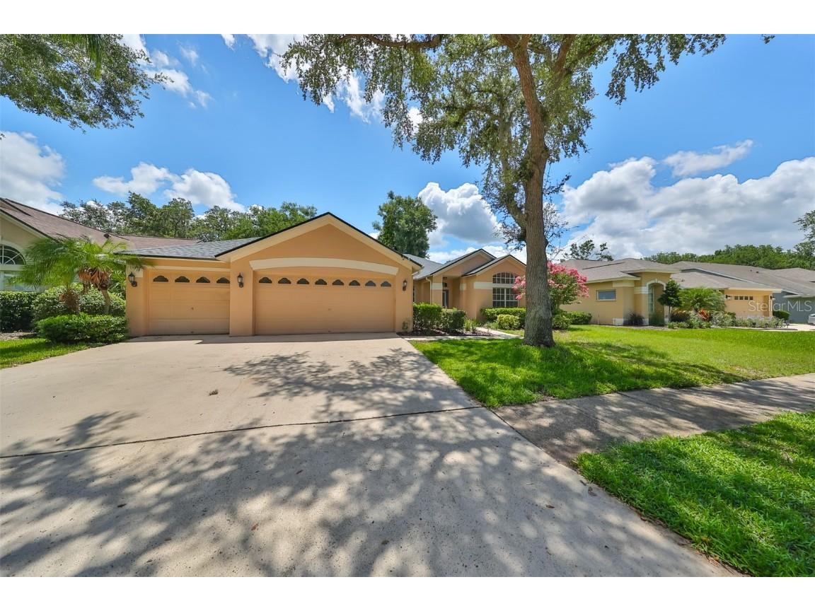 4404 Winding River Drive Valrico FL 33596 T3534350 image1