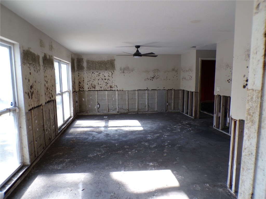 4405 Coconut Cove Place Valrico FL 33596 TB8369663 image10