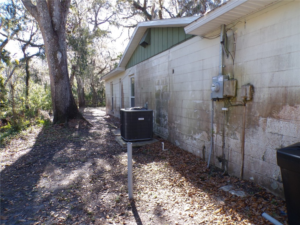 4405 Coconut Cove Place Valrico FL 33596 TB8369663 image3