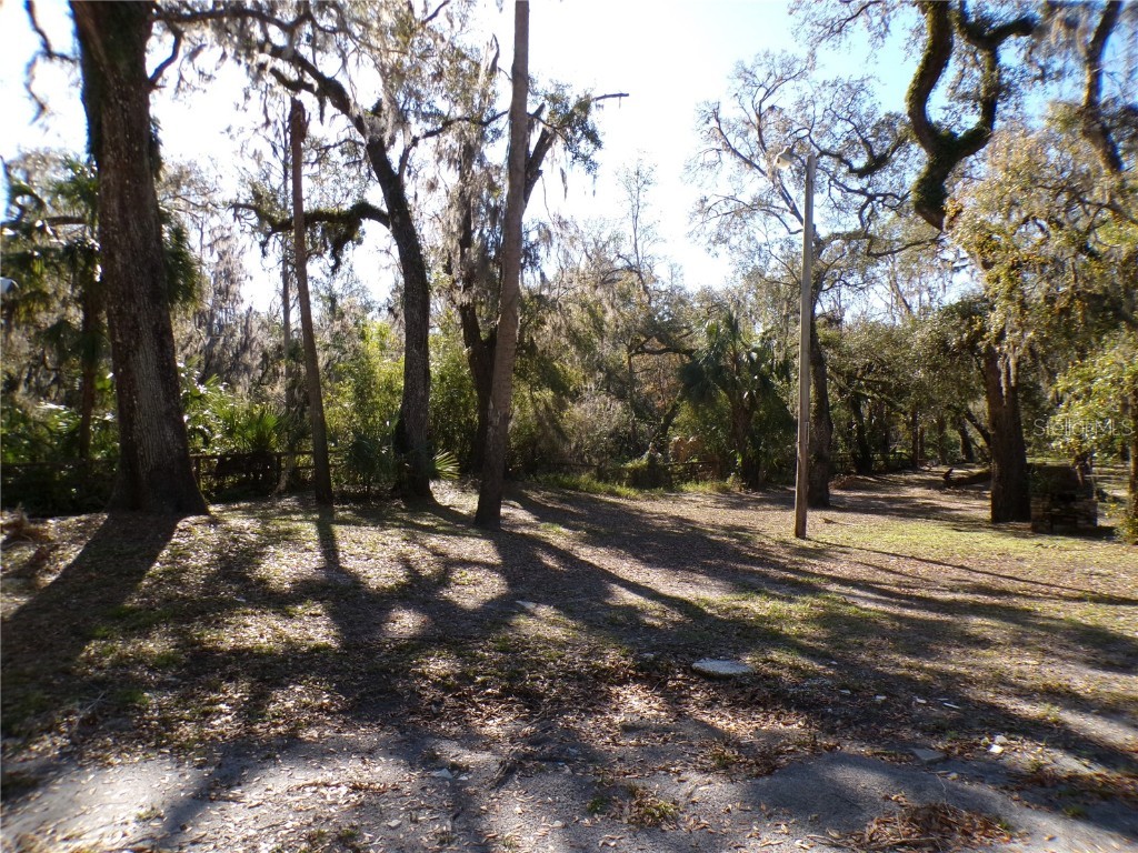 4405 Coconut Cove Place Valrico FL 33596 TB8369663 image5