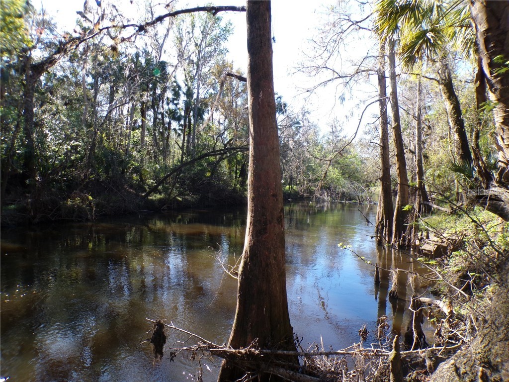 4405 Coconut Cove Place Valrico FL 33596 TB8369663 image6