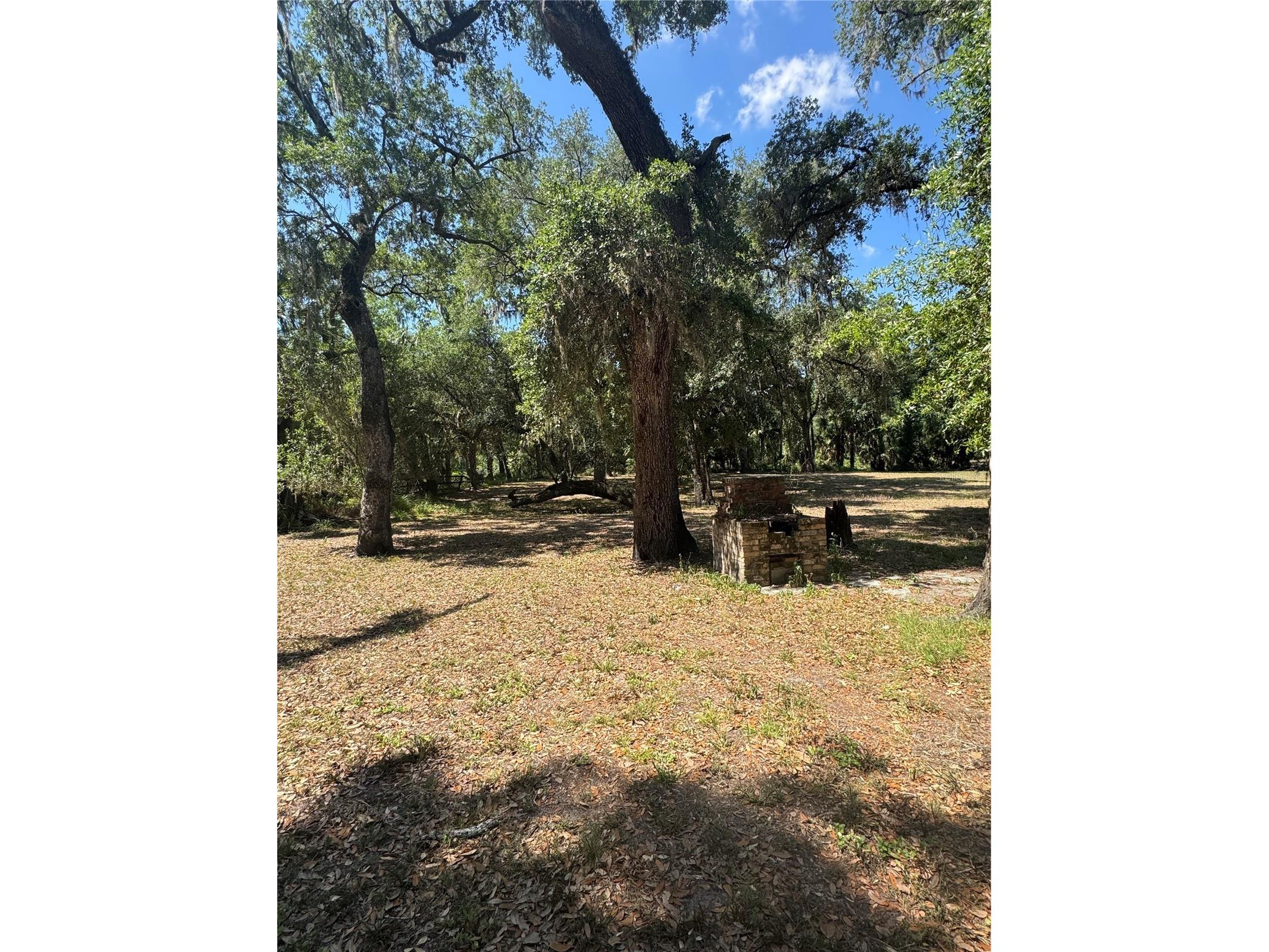 4405 Coconut Cove Place Valrico FL 33596 - ALAFIA RIVER TB8516566 image3