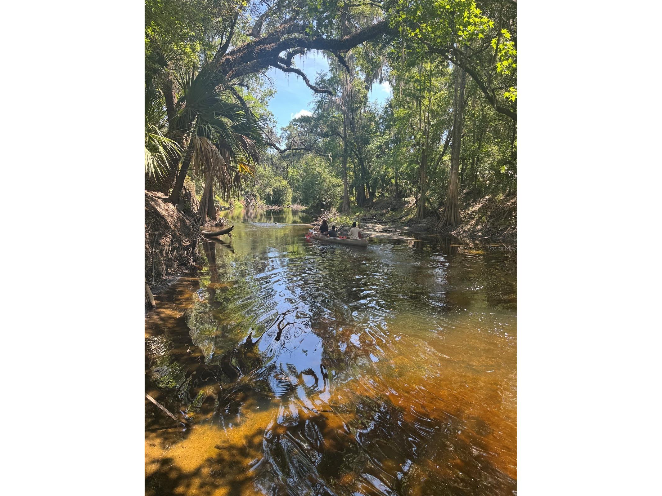 4405 Coconut Cove Place Valrico FL 33596 - ALAFIA RIVER TB8516566 image38